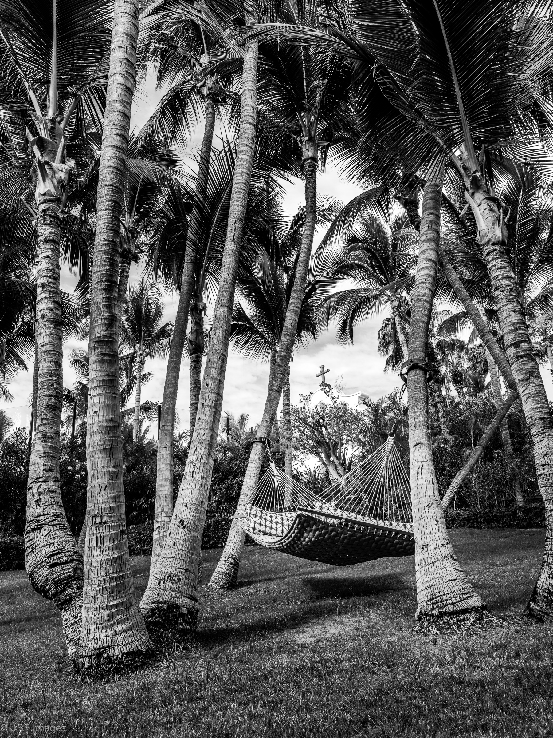 Hammocks B&W